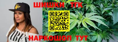 крисы Севастополь
