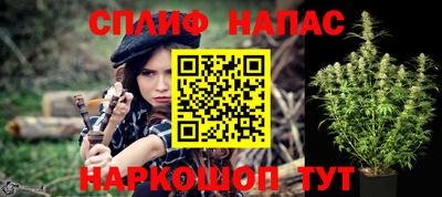 крисы Севастополь