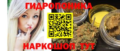 крисы Севастополь