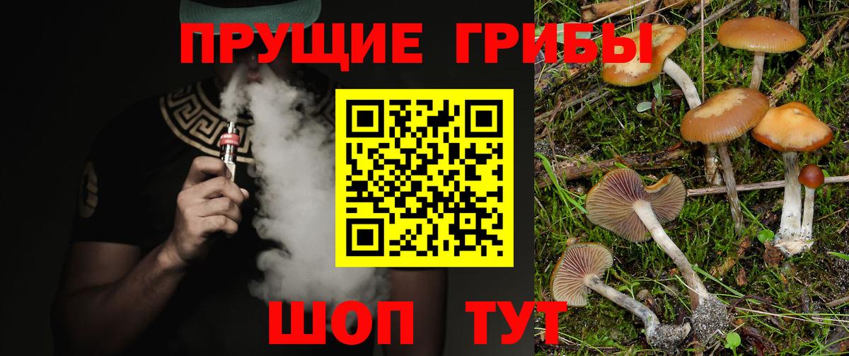 Пенза  Галлюциногенные грибы прущие грибы  Вход с VPN  наркошоп  Псилоцибиновые грибы мицелий 